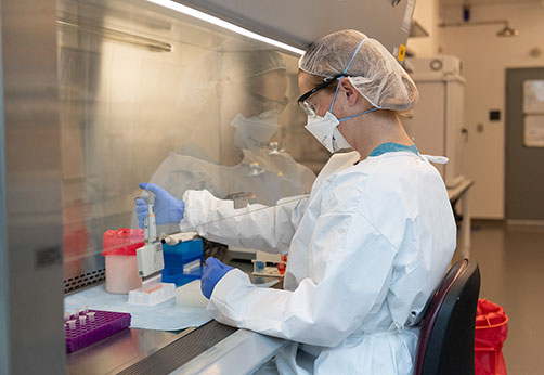 Clinical Diagnostics (Human & Veterinary)