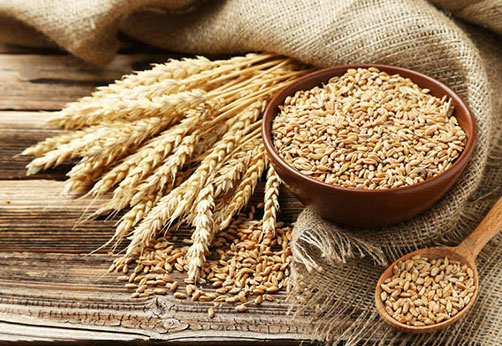 Gluten and Food Allergens